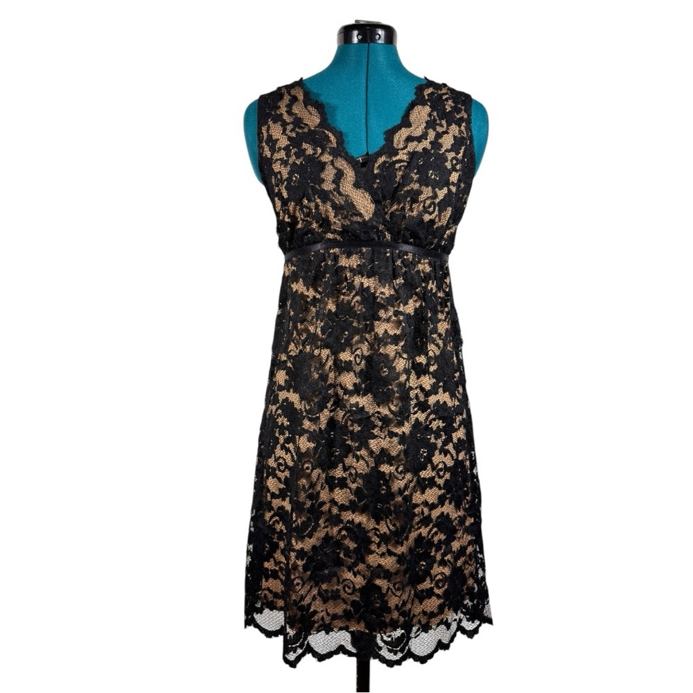 Max Studio Lace Sheathe dress